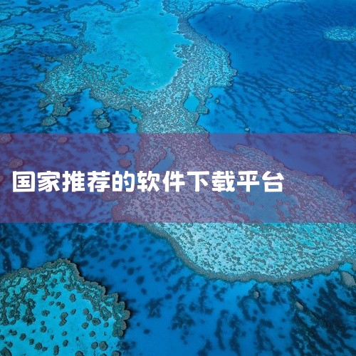 1.无极软件致力于用创新的技术和产品解决用户的需求电脑，手机端，平板端，模拟器，适用各种应用所有产品都属于通用类软件，禁止用户使用本公司产品作用在任何与国家法律相抵触的内容。2.西西软件园西西游戏网是,