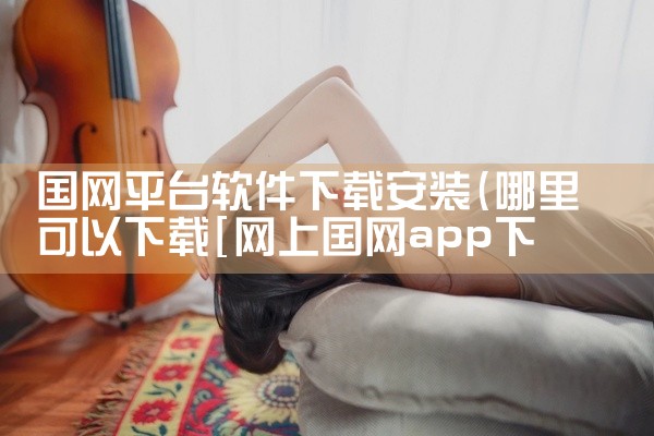 国网平台软件下载安装