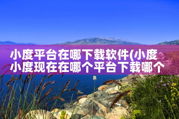 小度平台在哪下载软件