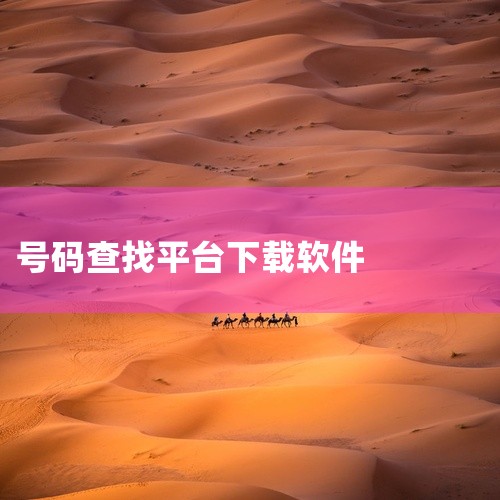靓号网是一个专业的手机号码交易平台，上面汇聚了大量的靓号资源。用户可以在上面查找并购买自己喜欢的靓号，同时也可以通过软件了解最新的靓号市场动态。该软件提供了多种支付方式，确保交易的安全性和便捷性。请注,