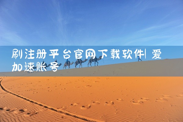 刷注册平台官网下载软件